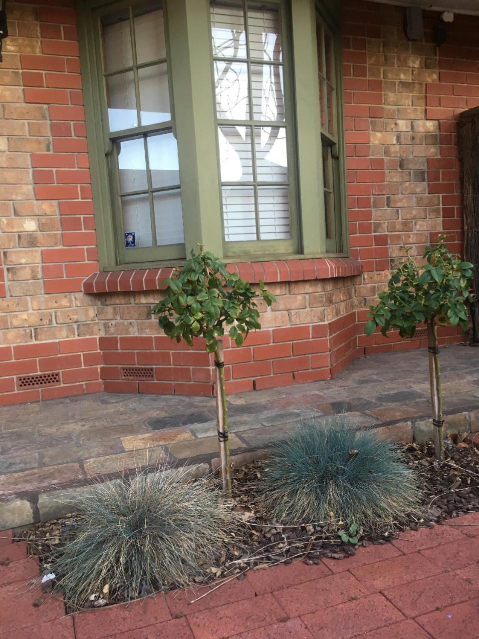 Adelaide Style Accommodation-Getaway In North Adelaide- Close To City Exterior photo